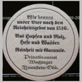 traunsteinwochinger (10).jpg